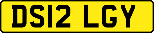 DS12LGY