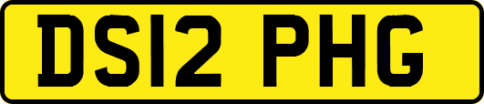 DS12PHG