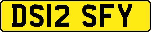 DS12SFY