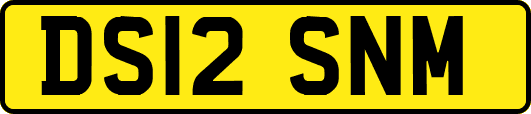 DS12SNM