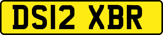 DS12XBR