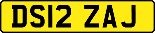 DS12ZAJ
