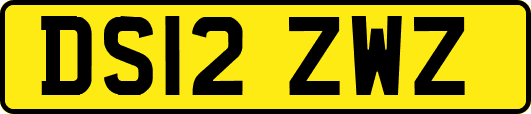 DS12ZWZ