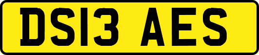 DS13AES