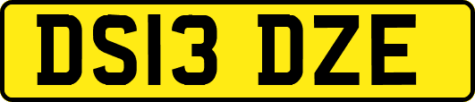 DS13DZE
