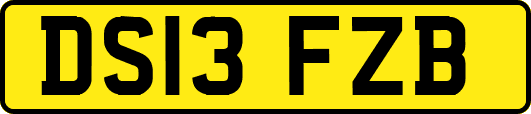 DS13FZB
