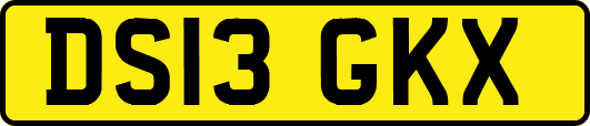 DS13GKX
