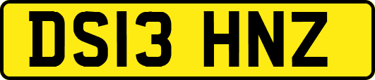 DS13HNZ