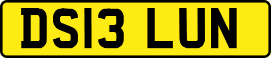 DS13LUN