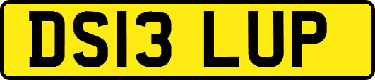 DS13LUP