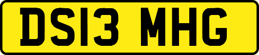 DS13MHG