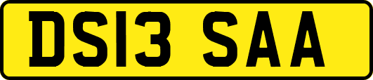 DS13SAA