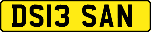 DS13SAN