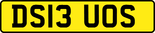 DS13UOS