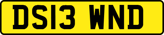 DS13WND