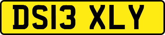 DS13XLY