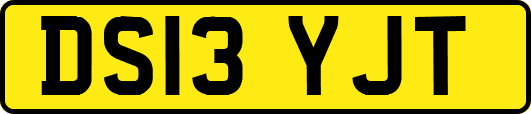 DS13YJT
