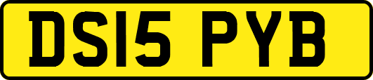 DS15PYB