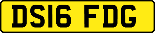 DS16FDG