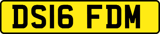 DS16FDM