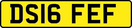 DS16FEF