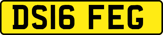 DS16FEG