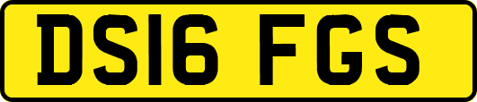 DS16FGS