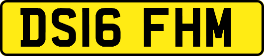DS16FHM