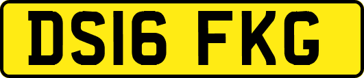DS16FKG