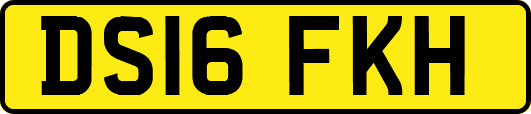 DS16FKH