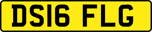 DS16FLG