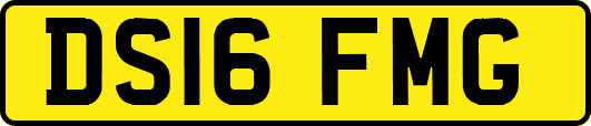 DS16FMG