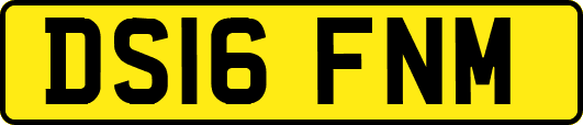 DS16FNM