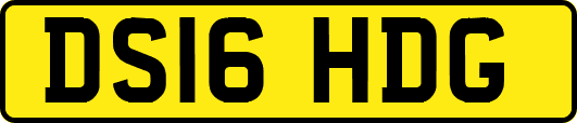 DS16HDG