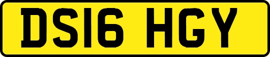 DS16HGY
