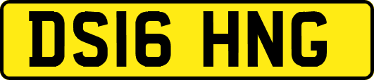 DS16HNG