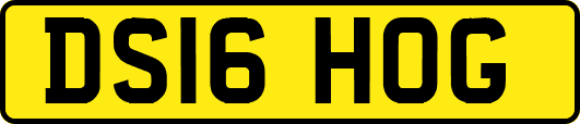 DS16HOG