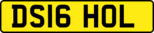 DS16HOL