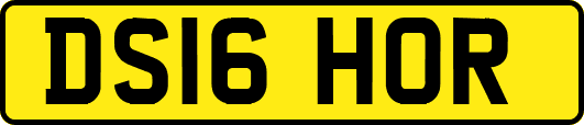 DS16HOR