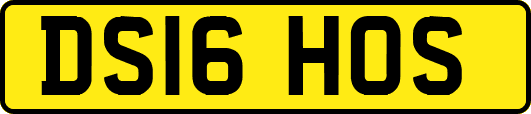 DS16HOS