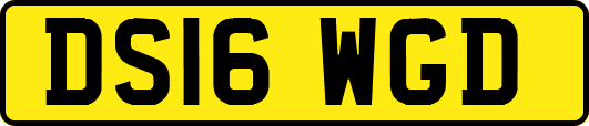 DS16WGD