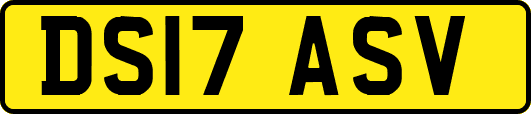 DS17ASV