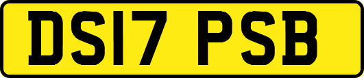 DS17PSB