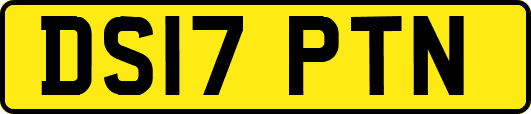 DS17PTN