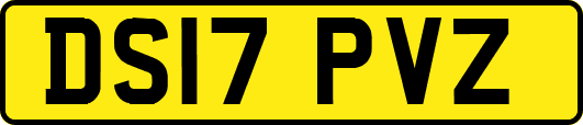 DS17PVZ