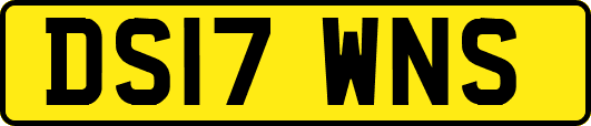 DS17WNS