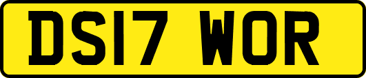 DS17WOR