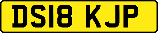 DS18KJP