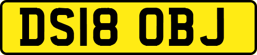 DS18OBJ