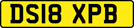 DS18XPB